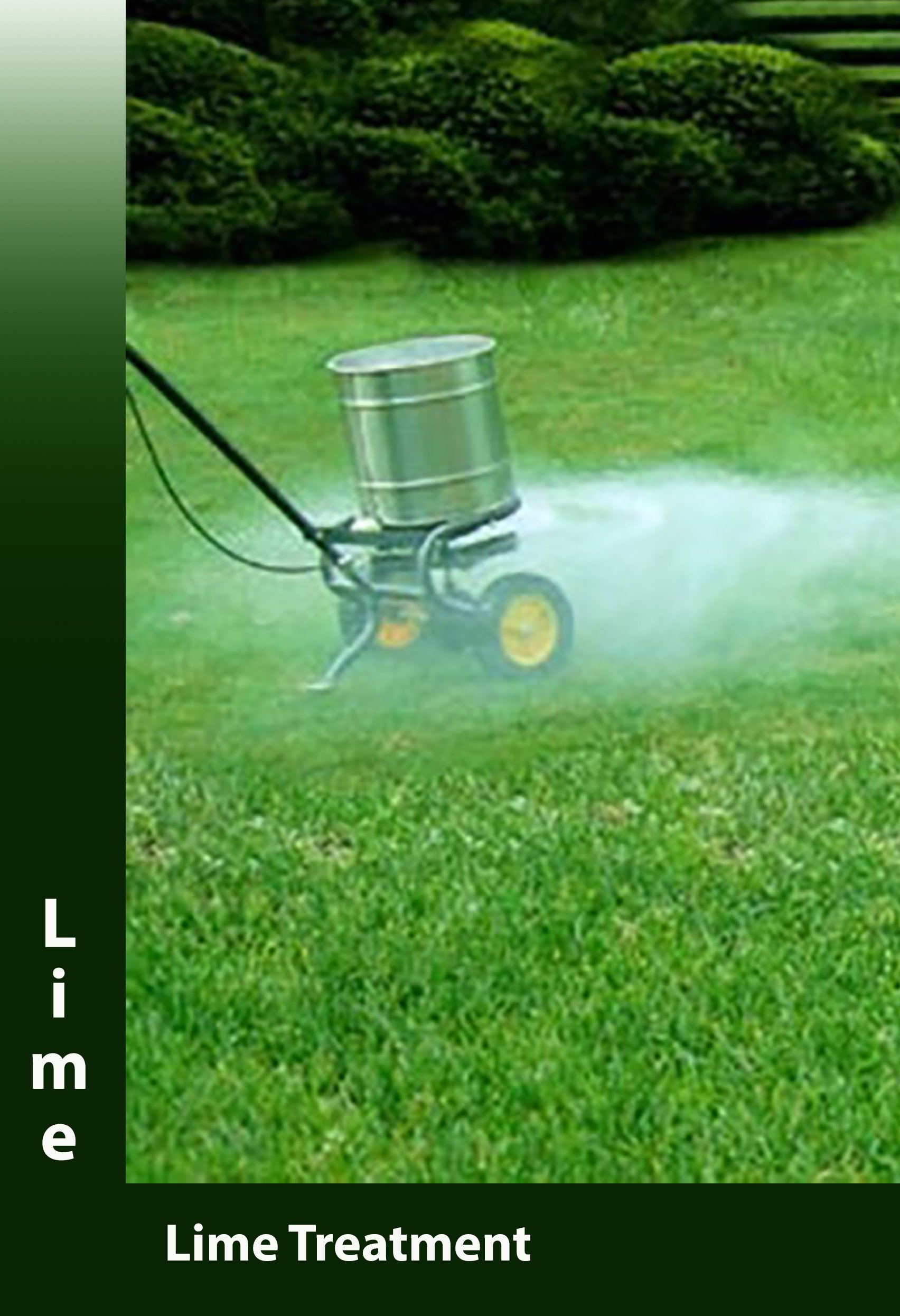 Lawn Services Lime & Grub Treatment, Aeration, Vegetation Control
